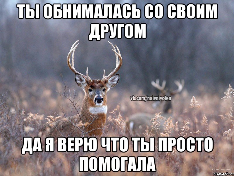 Ты обнималась со своим другом Да я верю что ты просто помогала, Мем   Наивный олень