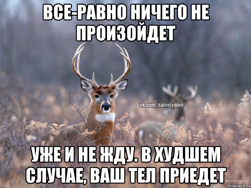 Все-равно ничего не произойдет уже и не жду. В худшем случае, ваш тел приедет, Мем   Наивный олень