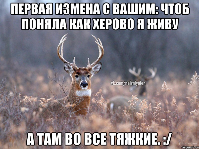 первая измена с вашим: чтоб поняла как херово я живу а там во все тяжкие. :/, Мем   Наивный олень