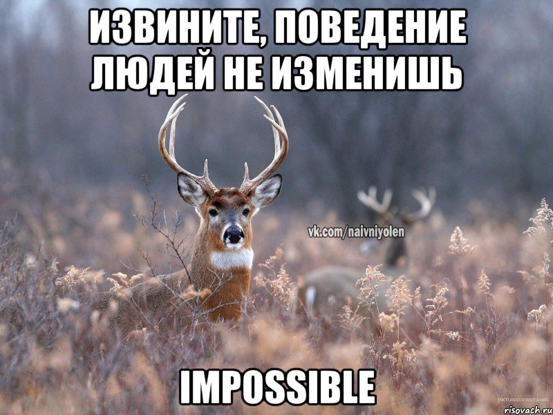 Извините, поведение людей не изменишь impossible, Мем   Наивный олень