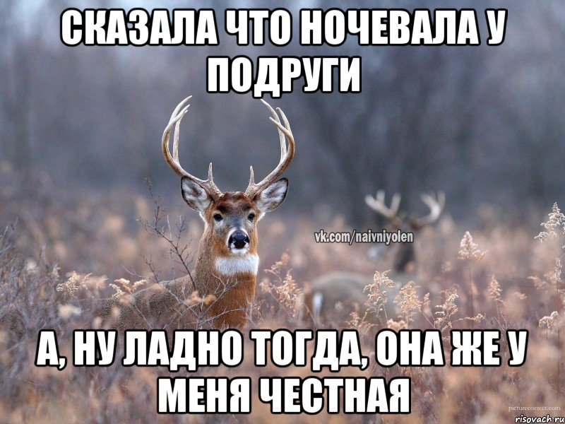 сказала что ночевала у подруги А, ну ладно тогда, она же у меня честная, Мем   Наивный олень