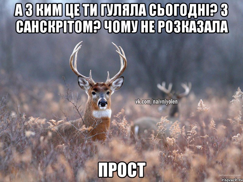 А з ким це ти гуляла сьогодні? З санскрітом? Чому не розказала Прост, Мем   Наивный олень