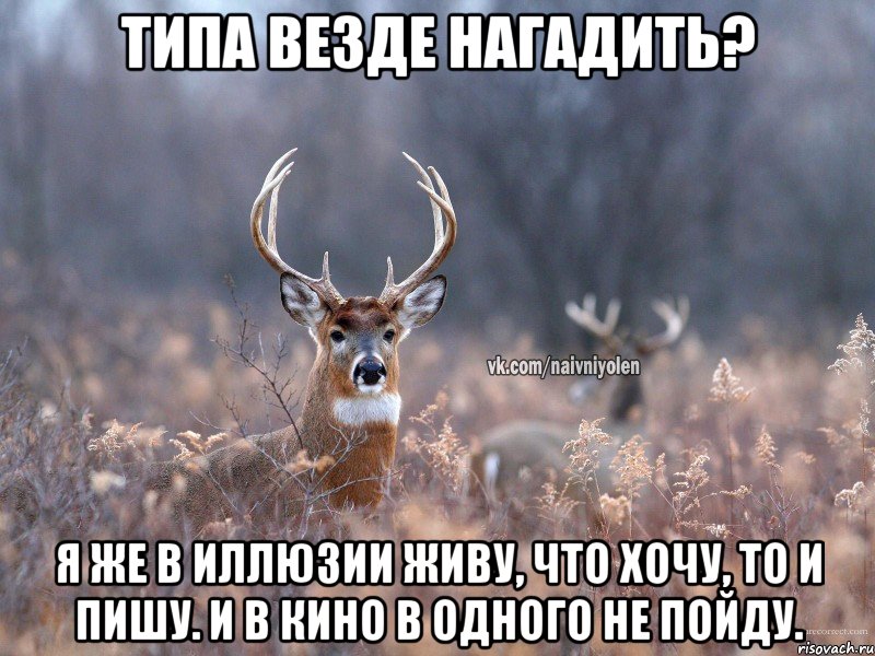 типа везде нагадить? я же в иллюзии живу, что хочу, то и пишу. И в кино в одного не пойду., Мем   Наивный олень