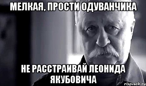 Мелкая, прости Одуванчика не расстраивай Леонида Якубовича, Мем Не огорчай Леонида Аркадьевича