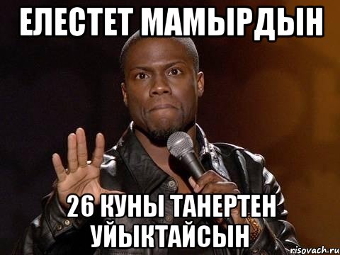 Елестет мамырдын 26 куны танертен уйыктайсын, Мем  А теперь представь