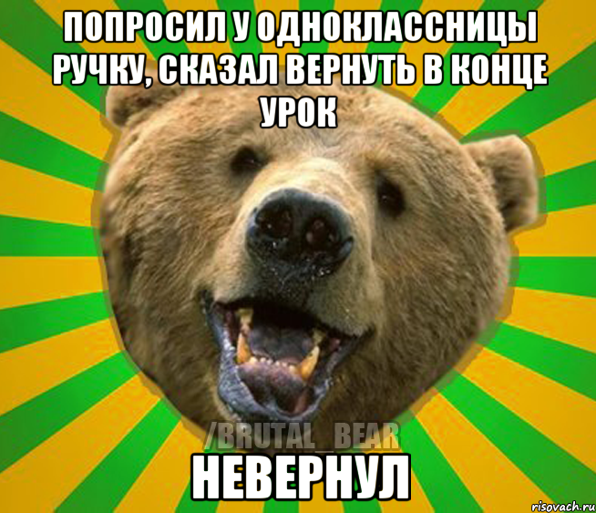 попросил у одноклассницы ручку, сказал вернуть в конце урок НЕВЕРНУЛ, Мем Нелепый медведь