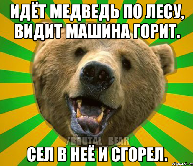 Идёт медведь по лесу, видит машина горит. Сел в неё и сгорел., Мем Нелепый медведь