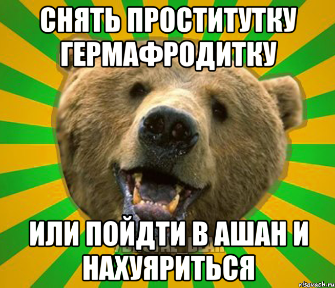 Снять проститутку гермафродитку Или пойдти в аШАН и нахуяриться, Мем Нелепый медведь