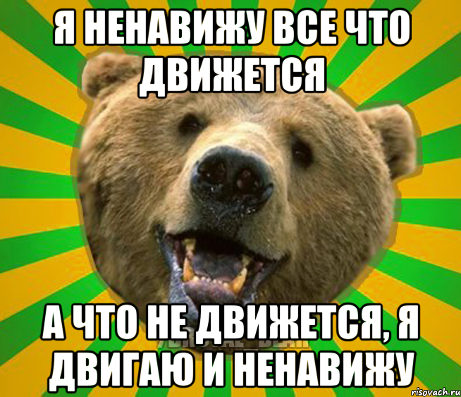 Я ненавижу все что движется А что не движется, я двигаю и ненавижу, Мем Нелепый медведь