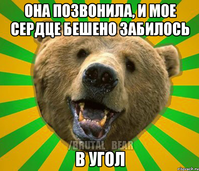 ОНА ПОЗВОНИЛА, И МОЕ СЕРДЦЕ БЕШЕНО ЗАБИЛОСЬ В УГОЛ, Мем Нелепый медведь