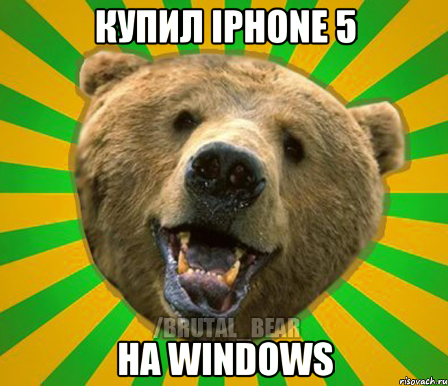 Купил IPhone 5 На windows, Мем Нелепый медведь