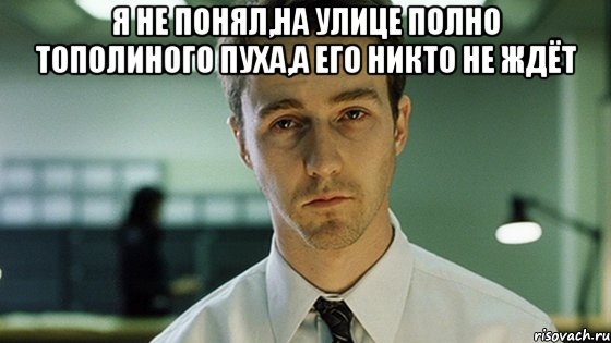 Я не понял,на улице полно тополиного пуха,а его никто не ждёт , Мем Невыспавшийся Эдвард Нортон