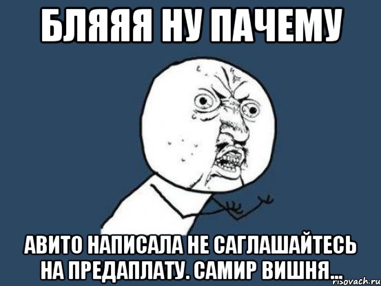 бляяя ну пачему авито написала не саглашайтесь на предаплату. самир вишня..., Мем Ну почему