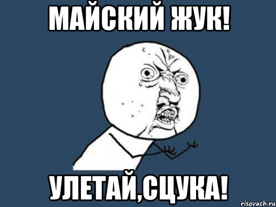 майский жук! улетай,сцука!, Мем Ну почему