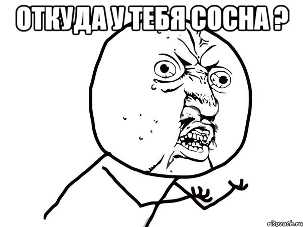 Откуда у тебя сосна ? , Мем Ну почему (белый фон)