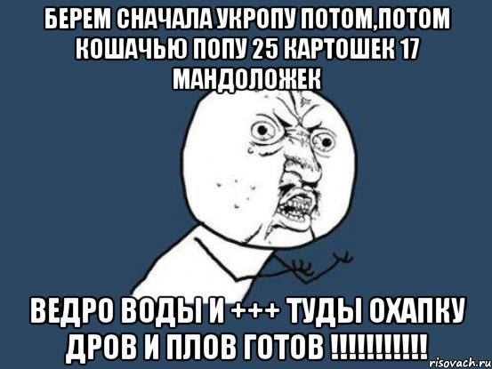 берем сначала укропу потом,потом кошачью попу 25 картошек 17 мандоложек Ведро воды и +++ туды охапку дров и плов готов !!!!!!!!!!!, Мем Ну почему