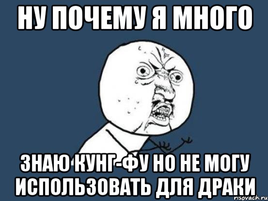 ну почему я много знаю кунг-фу но не могу использовать для драки, Мем Ну почему