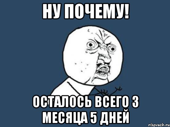 Ну почему! осталось всего 3 месяца 5 дней, Мем Ну почему