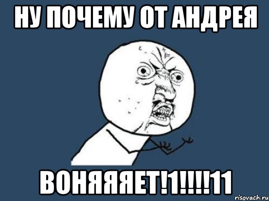 Ну почему от Андрея Воняяяет!1!!!!11, Мем Ну почему