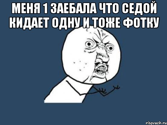 меня 1 заебала что седой кидает одну и тоже фотку , Мем Ну почему