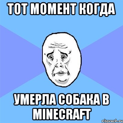 ТОТ МОМЕНТ КОГДА УМЕРЛА СОБАКА В MINECRAFT, Мем Okay face