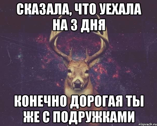 Сказала, что уехала на 3 дня конечно дорогая ты же с подружками, Мем  олень наивный