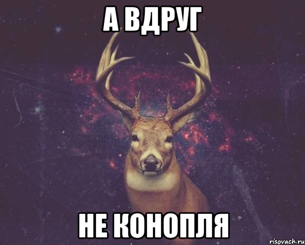 А вдруг не конопля, Мем  олень наивный