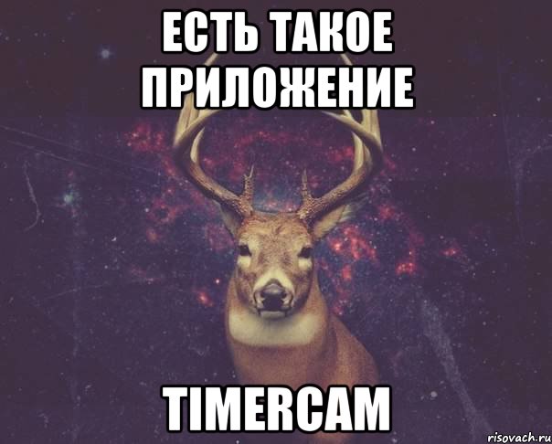 Есть такое приложение timercam, Мем  олень наивный