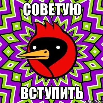 Советую Вступить, Мем Омская птица