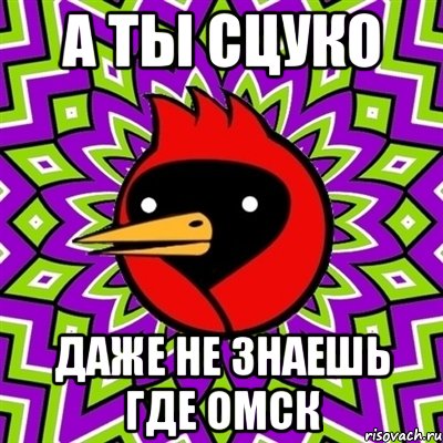 А ТЫ СЦУКО ДАЖЕ НЕ ЗНАЕШЬ ГДЕ ОМСК, Мем Омская птица