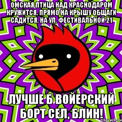 ОМСКАЯ ПТИЦА НАД КРАСНОДАРОМ КРУЖИТСЯ, ПРЯМО НА КРЫШУ ОБЩАГИ САДИТСЯ, НА УЛ. ФЕСТИВАЛЬНОЙ 21 ЛУЧШЕ Б ВОЙЕРСКИЙ БОРТ СЕЛ, БЛИН!, Мем Омская птица