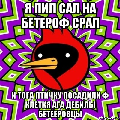 я пил сал на бетероф срал и тога птичку посадили ф клеткя ага дебилы бетееровцы, Мем Омская птица