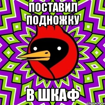 поставил подножку в шкаф, Мем Омская птица