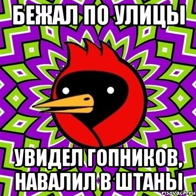 БЕЖАЛ ПО УЛИЦЫ УВИДЕЛ ГОПНИКОВ, НАВАЛИЛ В ШТАНЫ, Мем Омская птица