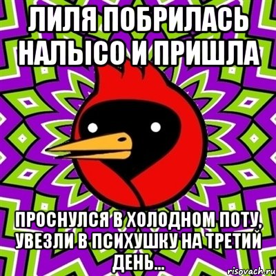 Лиля побрилась налысо и пришла Проснулся в холодном поту, увезли в психушку на третий день..., Мем Омская птица