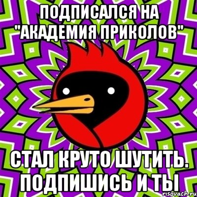 Подписался на "Академия приколов" Стал круто шутить. Подпишись и ты, Мем Омская птица