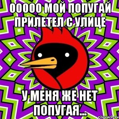 Ооооо мой попугай прилетел с улице У меня же нет попугая..., Мем Омская птица