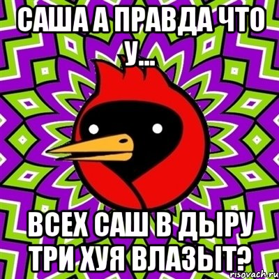 Саша а правда что у... всех саш в дыру три хуя влазыт?, Мем Омская птица