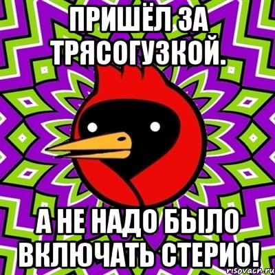 Пришёл за Трясогузкой. А не надо было включать стерио!, Мем Омская птица