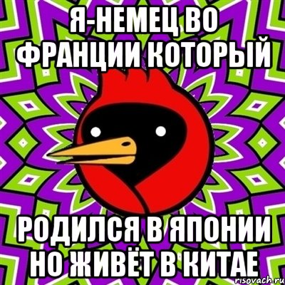 я-немец во франции который родился в японии но живёт в китае, Мем Омская птица