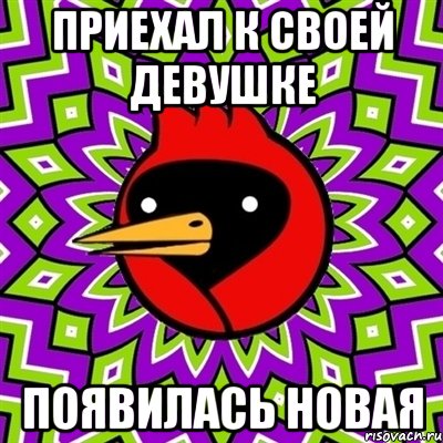 приехал к своей девушке появилась новая, Мем Омская птица