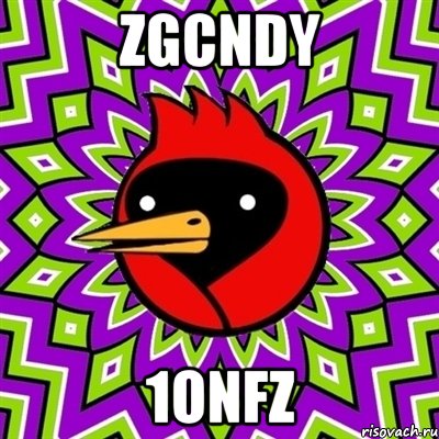 ZgCNdy 1onfz, Мем Омская птица