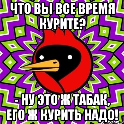 Что вы все время курите? - Ну это ж табак, его ж курить надо!, Мем Омская птица