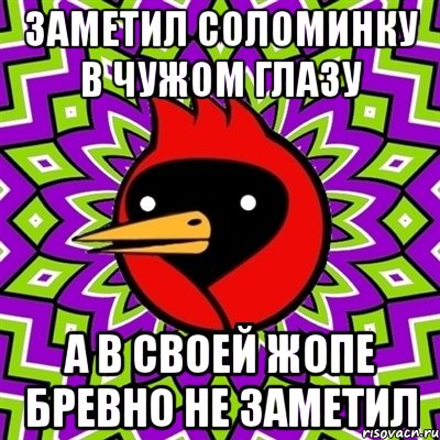 заметил соломинку в чужом глазу а в своей жопе бревно не заметил, Мем Омская птица