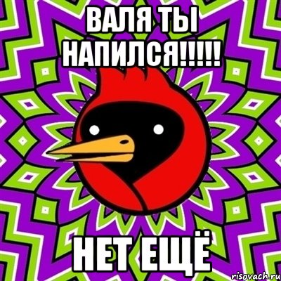 Валя ты напился!!!!! Нет ещё, Мем Омская птица