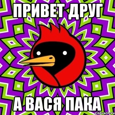 Привет друг а вася пака, Мем Омская птица