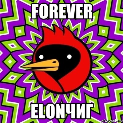 forever elonчиГ, Мем Омская птица