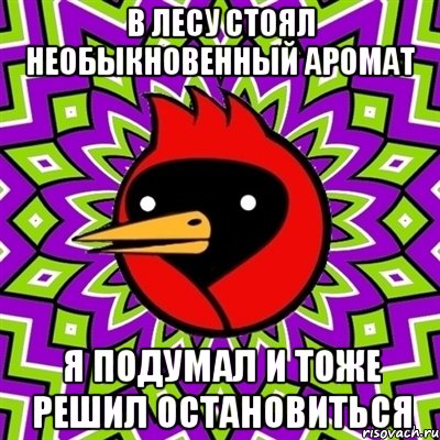 В лесу стоял необыкновенный аромат Я подумал и тоже решил остановиться, Мем Омская птица