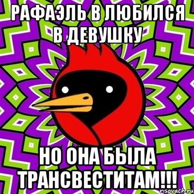 Рафаэль в любился в девушку но она была трансвеститам!!!, Мем Омская птица