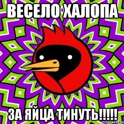 весело халопа за яйца тинуть!!!!!, Мем Омская птица